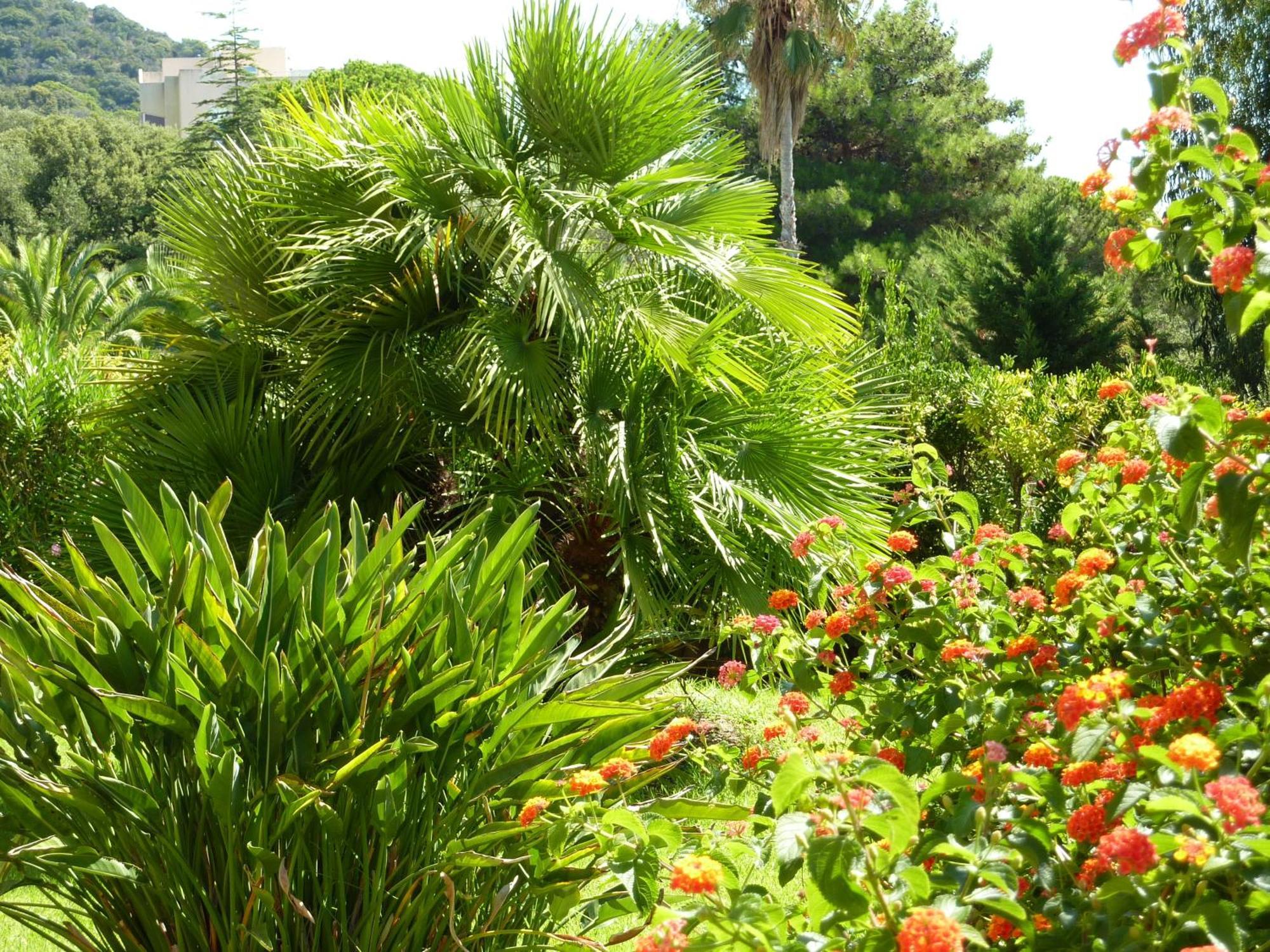 Hotel La Pinede Ajaccio  Exteriör bild